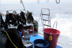 liveaboard washing up